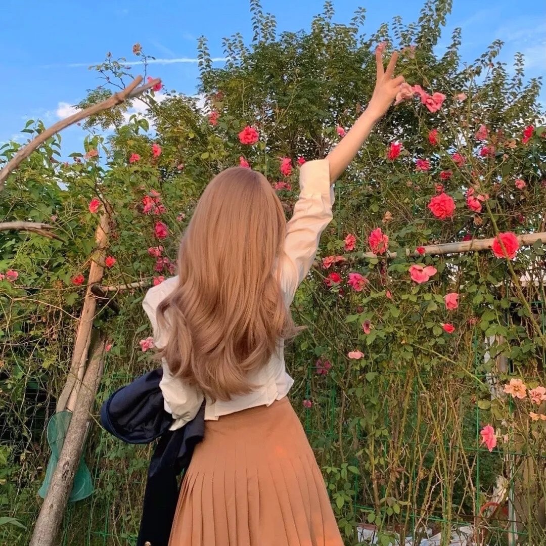 Jose与虎与鱼们2020